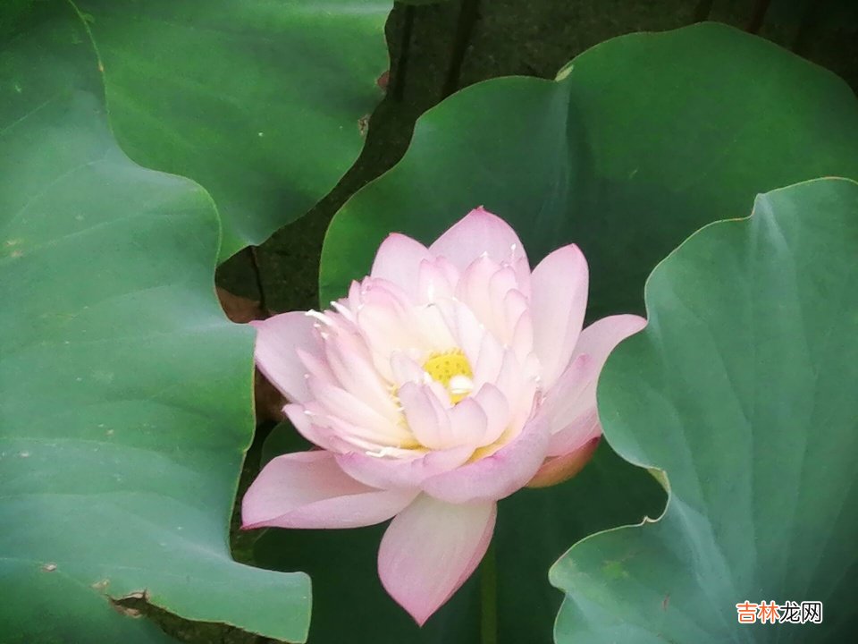 工作上的不开心怎么办?