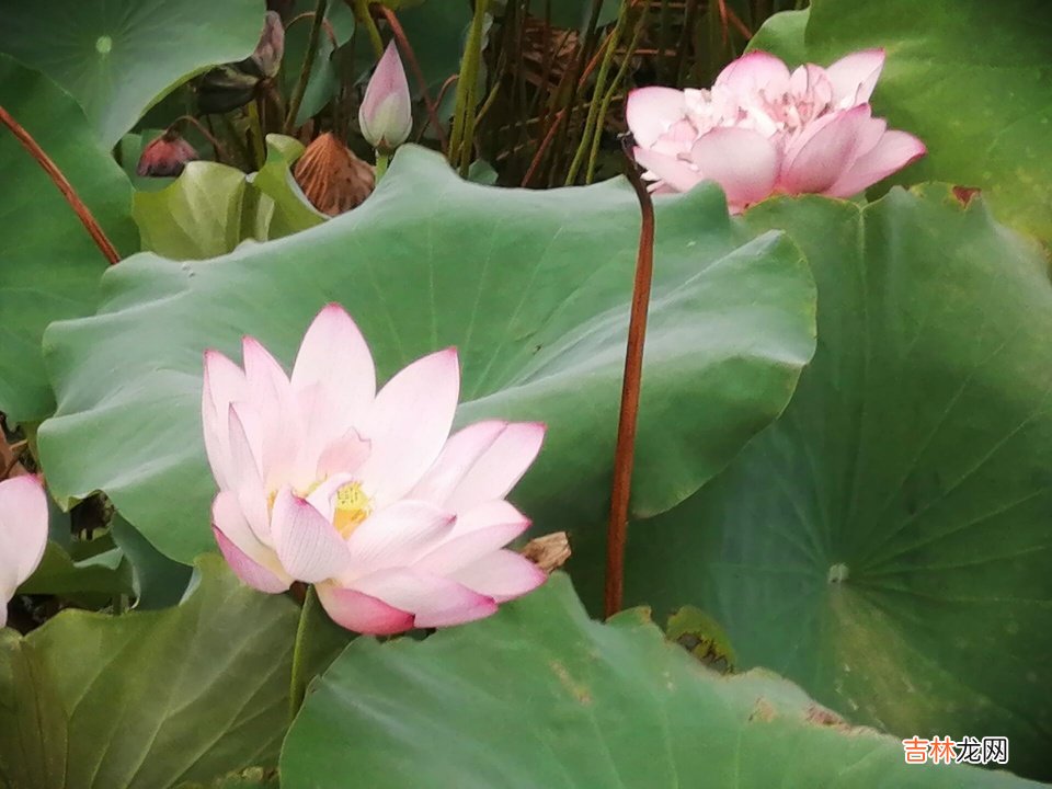 工作上的不开心怎么办?