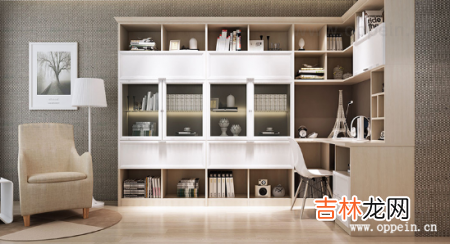 2020最新的家用书柜款式图片