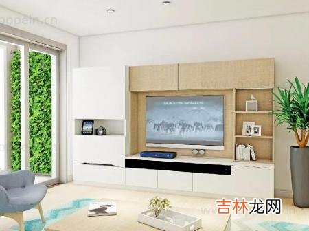 客厅电视柜装修效果图-电视柜图片大全