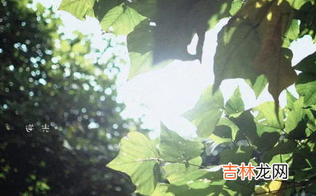 湖南今年天气什么时候开始热2022