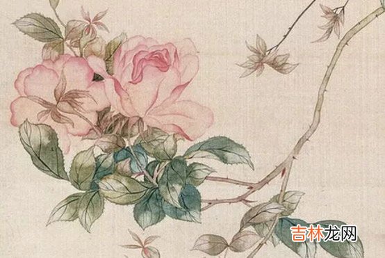 2020年4月11日三月十九生的女孩是什么命,取什么名字有涵义