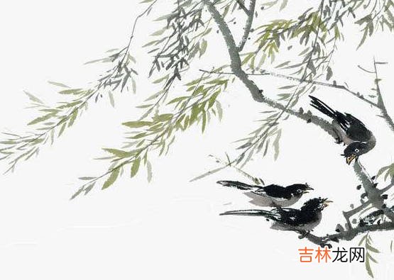 申时出生五行缺木的女孩取名，可使用这些属木的字