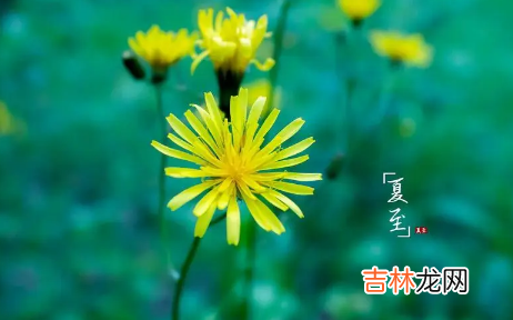 夏至下雨三伏天热吗