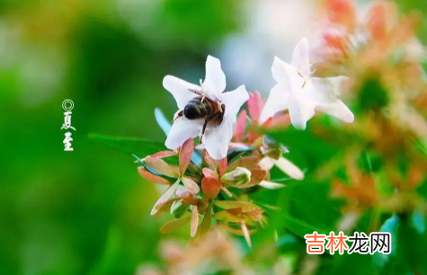 夏至下雨三伏天热吗