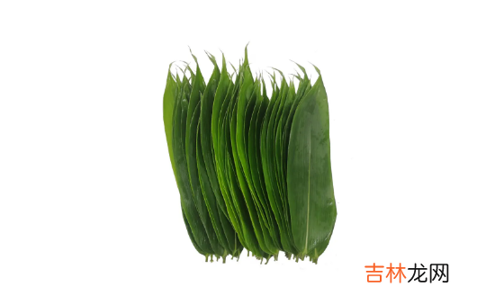 粽叶水里煮沸很久叶子还是绿的正常吗
