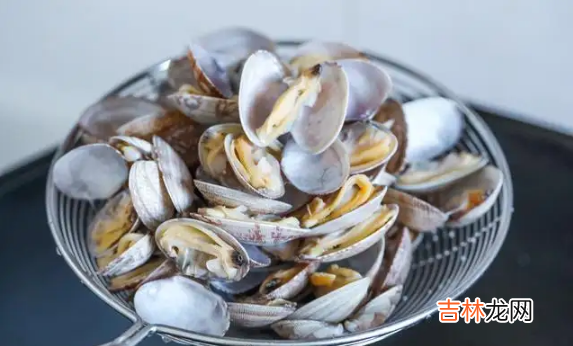 花蛤放自来水里能活12小时吗
