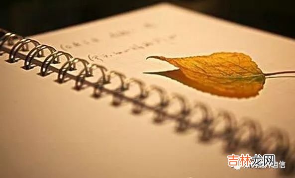 太在意别人对自己的看法，其实是“心理投射”