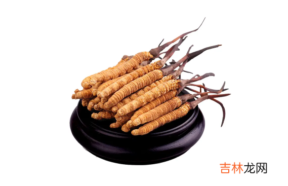 冬虫夏草不适合哪些人吃