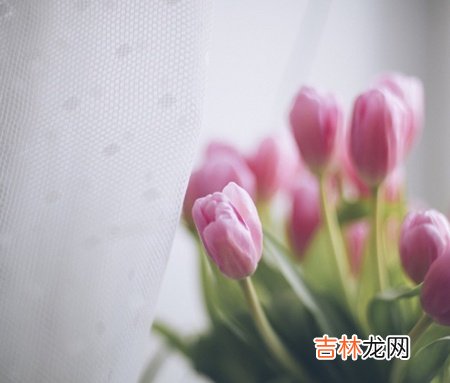 2019年你的爱情能开花结果吗？