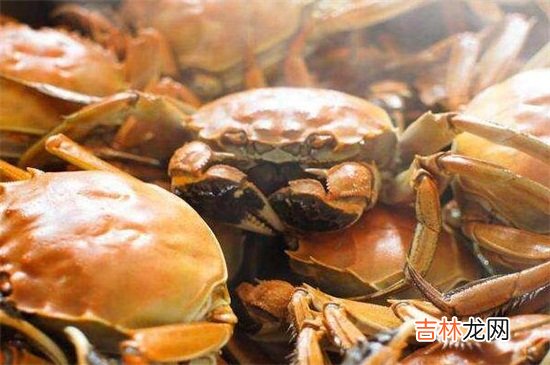 蟹相克的食物