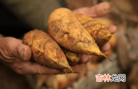 竹笋哪类人不能吃