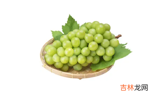 阳光玫瑰葡萄和晴王葡萄是一个品种吗