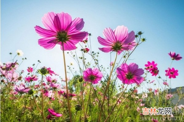 公历生日是什么意思公历生日就是阳历生日