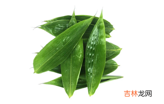 鲜粽叶需要煮一下吗