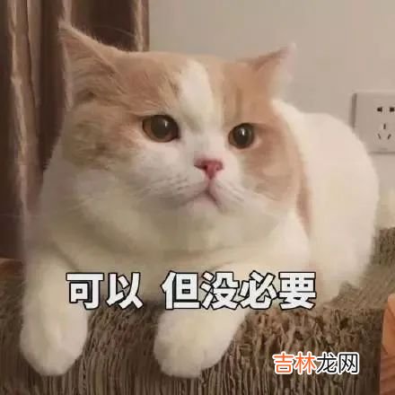 不要随便夸人家“会说话”