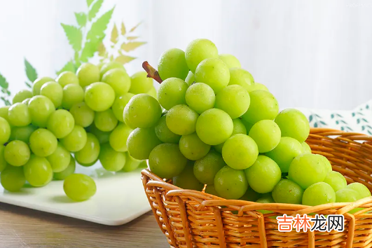 阳光玫瑰是晴王葡萄吗