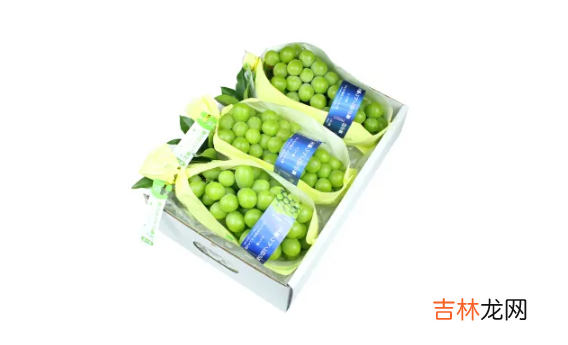 阳光玫瑰是晴王葡萄吗