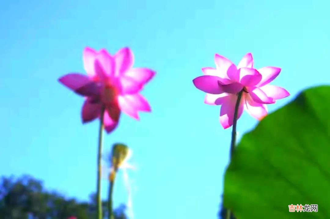 建筑法律纠纷案例 建筑法2021年版全文