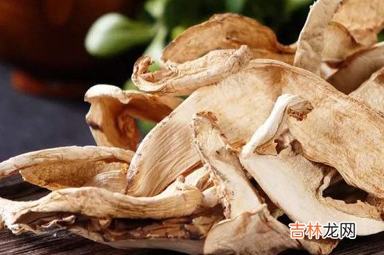干松茸菌的功效和吃法