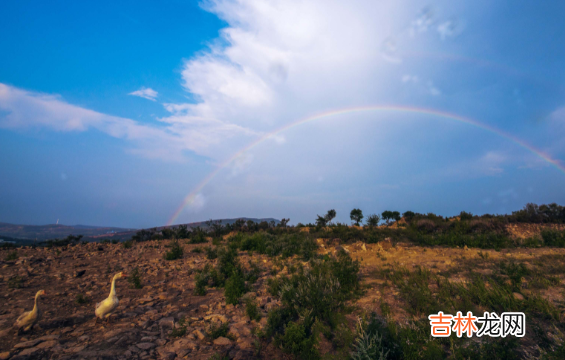 称骨算命：六两八钱，生死由天富贵在命