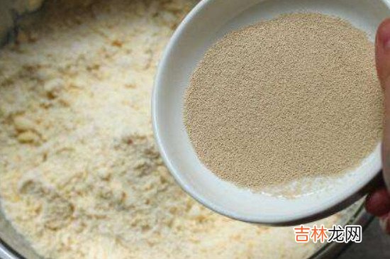 酵母粉是什么