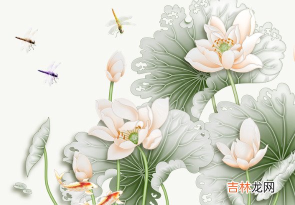 富命跟贵命哪个好,因人而异,但都是福禄之人,一生顺畅