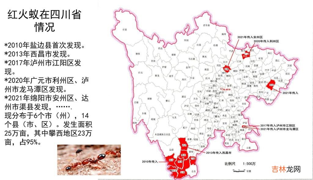 外来生物入侵的资料 外来生物入侵方式