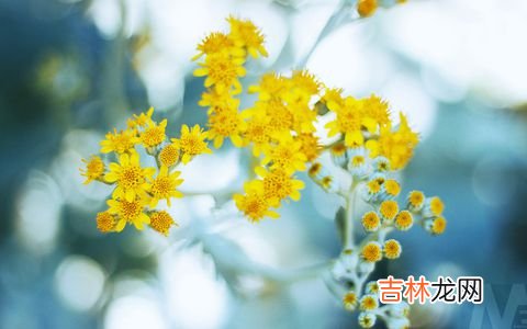 2019年三月十五出生的女宝宝起名