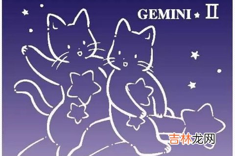 双子座最排斥什么类型的人