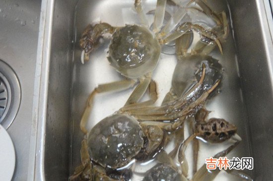 活螃蟹怎么保存过夜