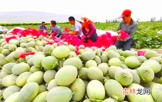 道路交通事故处理程序规定讲解 道路交通事故处理程序规定规范