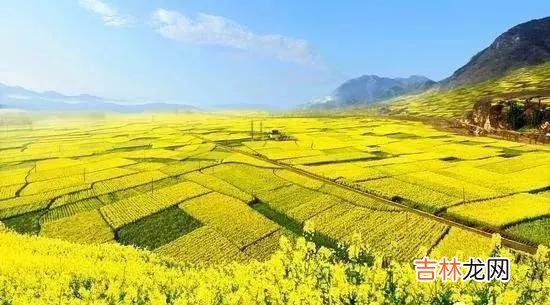 道路交通事故处理程序规定讲解 道路交通事故处理程序规定规范