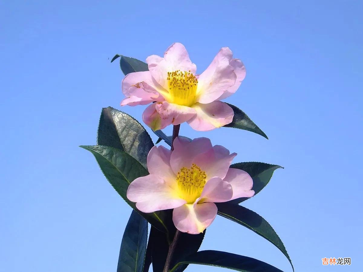 道路交通事故处理程序规定讲解 道路交通事故处理程序规定规范