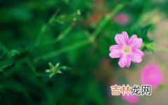 2019年6月7日出生的男孩取什么名字好？端午节出生的宝宝命如何？