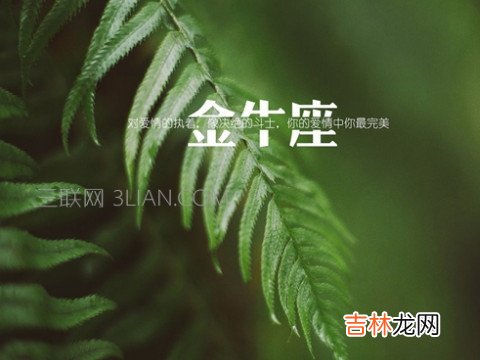女追男隔层纱成功让金牛座男生臣服你的裙摆下