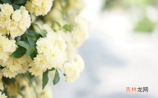 2019年农历五月十七日出生的男宝宝如何起名?