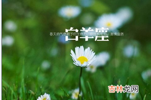 白羊座会偏爱这种类型的人
