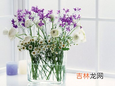 2019年农历五月二十七日出生的女宝宝如何取名？