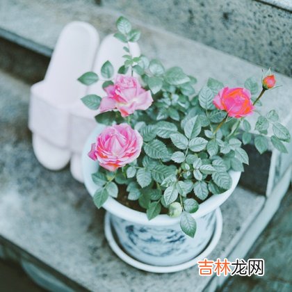 水逆太衰？2019年你啥时候能转运