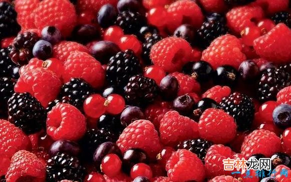 抗衰老的十大食物 比养颜针还管用