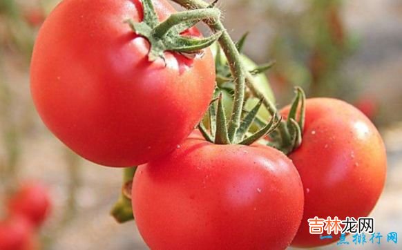 抗衰老的十大食物 比养颜针还管用