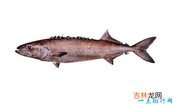 抗衰老的十大食物 比养颜针还管用