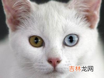 家政公司名字大全 开家政公司，请问要取个什么