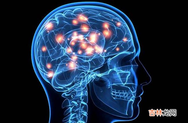 十种不适合学车的人特征 看看你属于哪一类