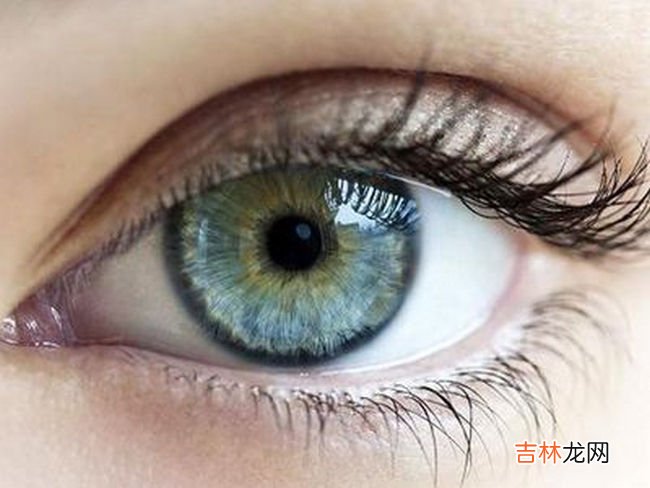 十种不适合学车的人特征 看看你属于哪一类