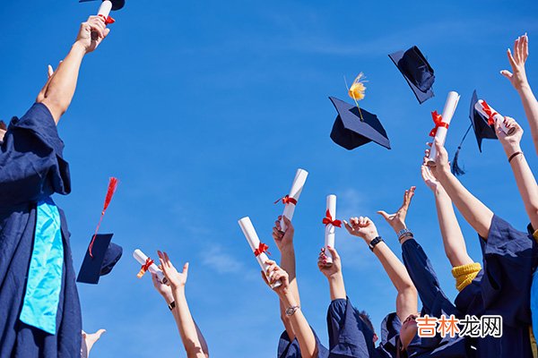 冷门艺术专业女生的求职路——我还是想走我喜欢的路