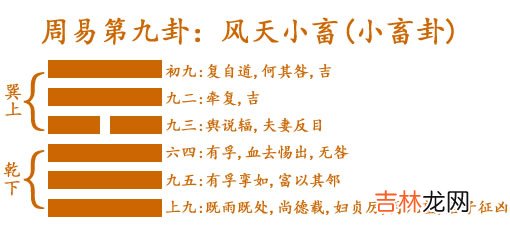 小畜卦 周易第9卦:风天小畜巽上乾下