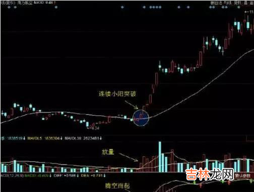 鲁致远开化 鲁致远 游泳