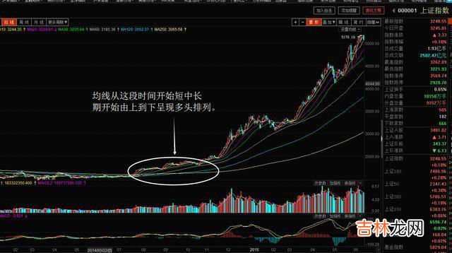 鲁致远开化 鲁致远 游泳